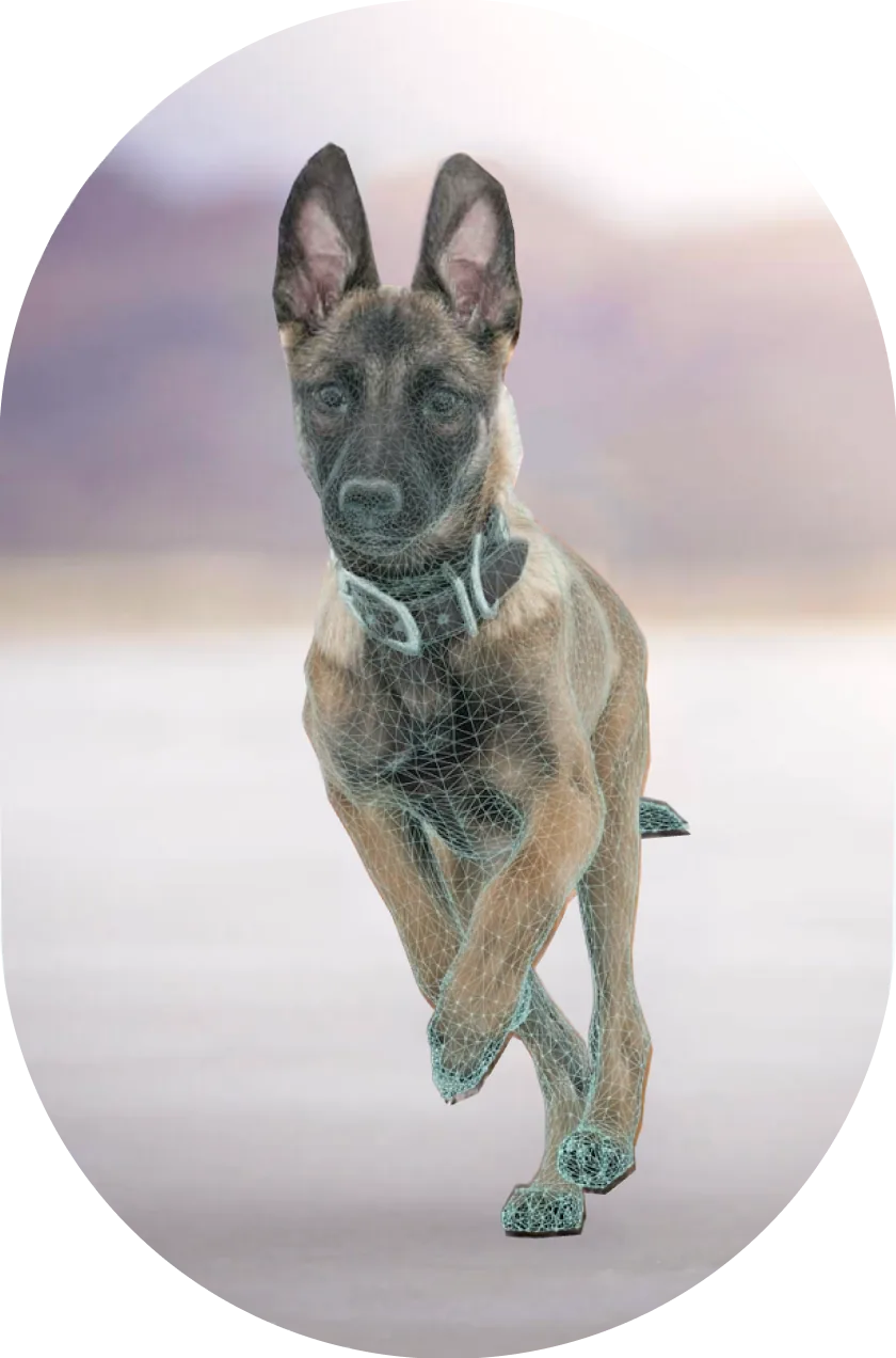 3D Photos for Facebook